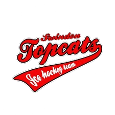 Swindon TopCats